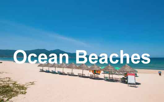 Ocean Beaches